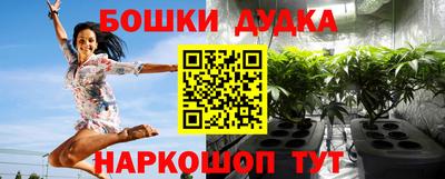 гидра Партизанск