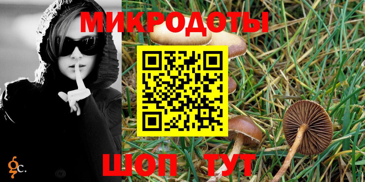 Псилоцибиновые грибы мицелий Тверь