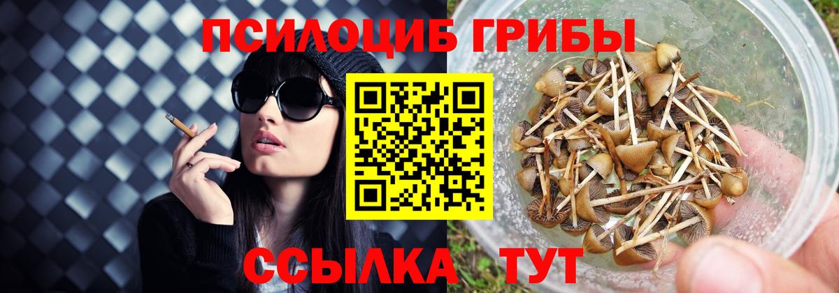 Псилоцибиновые грибы мицелий  Вход с VPN  Псилоцибиновые грибы мухоморы  Тверь 